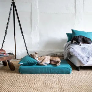 Anti-Microbial Memory Foam Dog Bed Mattress in Faroe